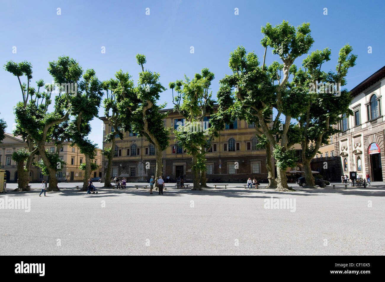 Piazza Napoleone, Lucca, Italy Stock Photo Alamy