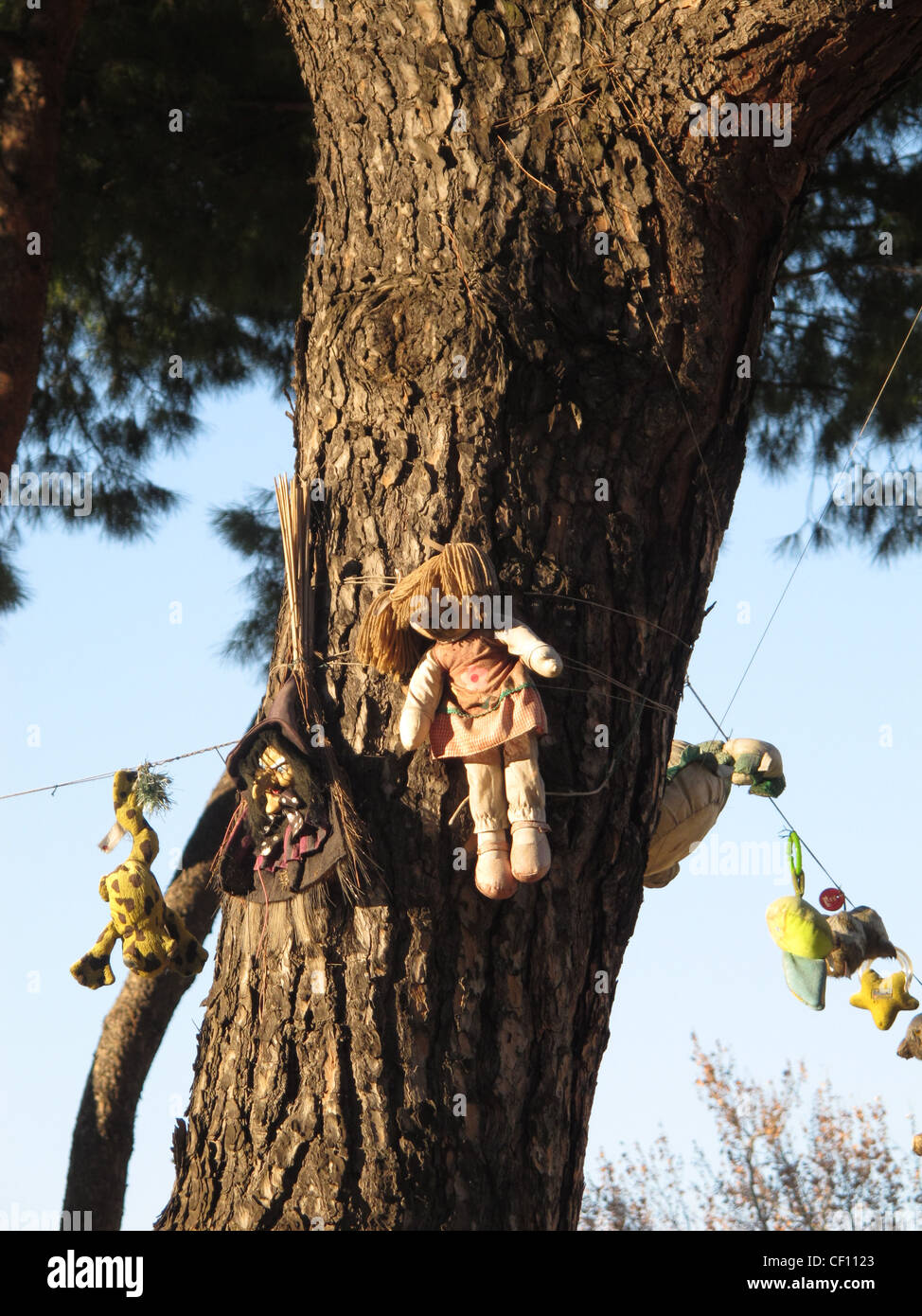 soft toys hanging from trees in children's playground Stock Photo Alamy
