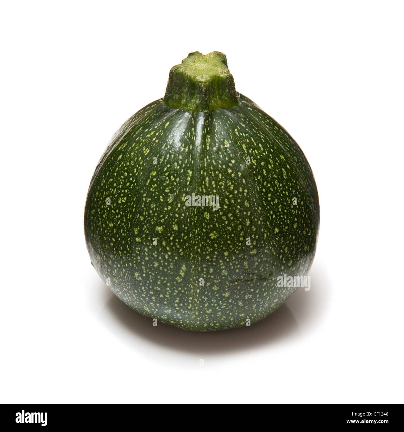 Globe courgette isolated on a white studio background. Stock Photo