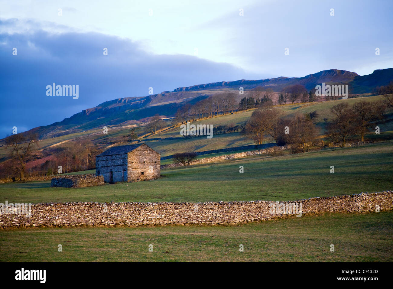 Stone Field Boundaries and Cattle storage Barns at Thornton Rust Hard Gill, Wensleydale, North Yorkshire Dales, Richmondshire, UK Stock Photo