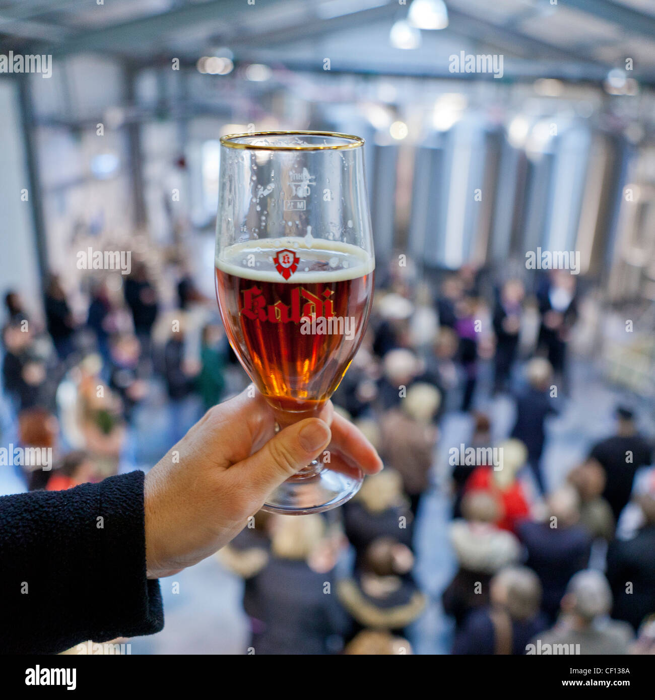 Holding Kaldi beer in micro brewery , Bruggsmidjan , Arskogssandur, Iceland Stock Photo
