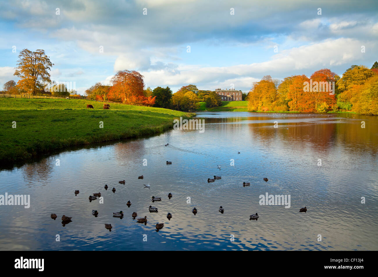 Copgrove Hall near Harrogate, North Yorkshire Stock Photo Alamy