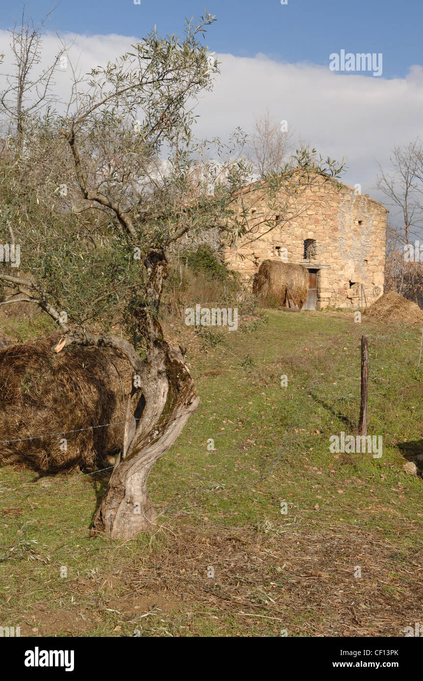 portrait of an old farm in Basilicata, southern Italy Stock Photo