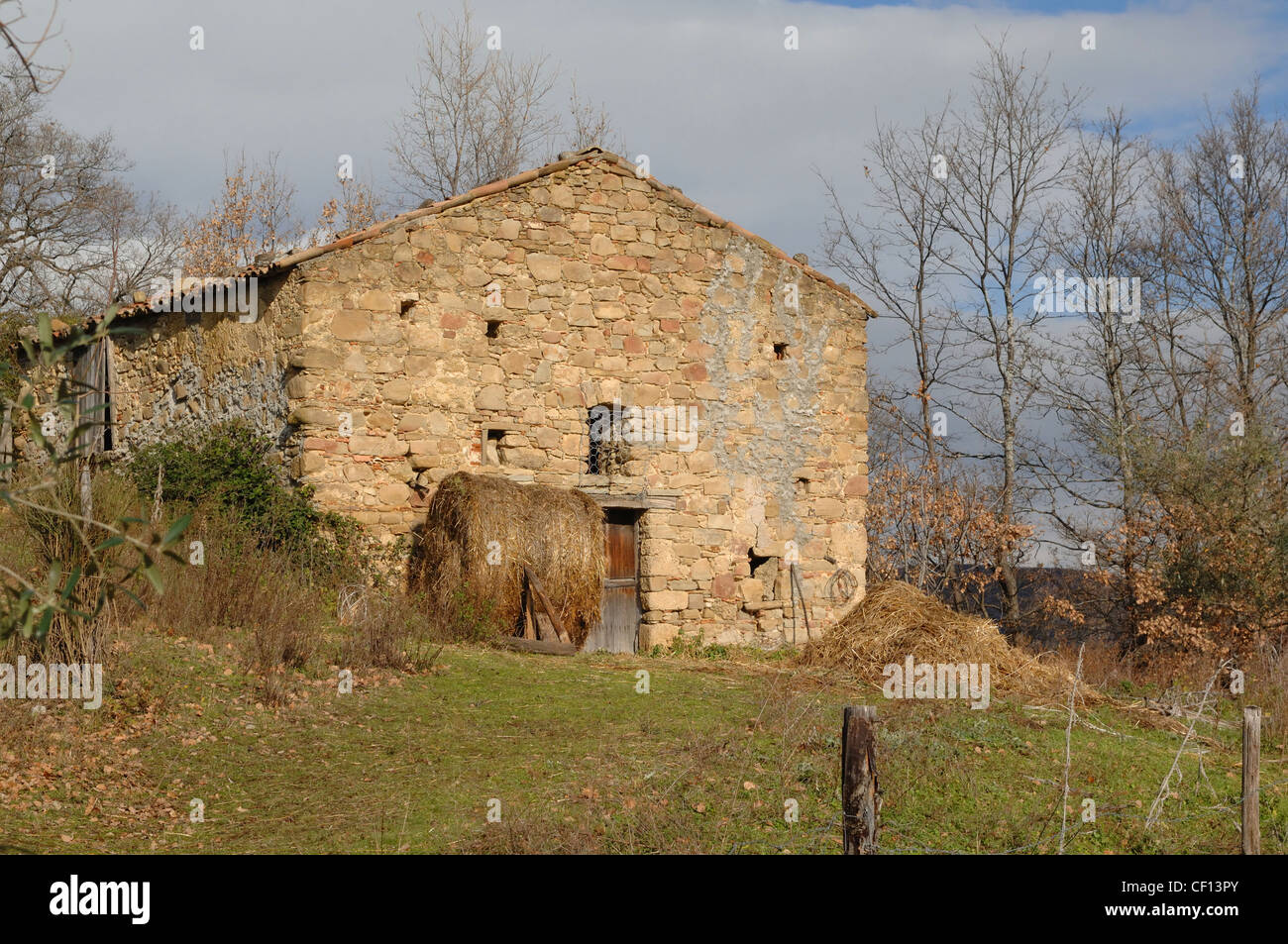 seen on an old farm in Basilicata,  southern Italy Stock Photo