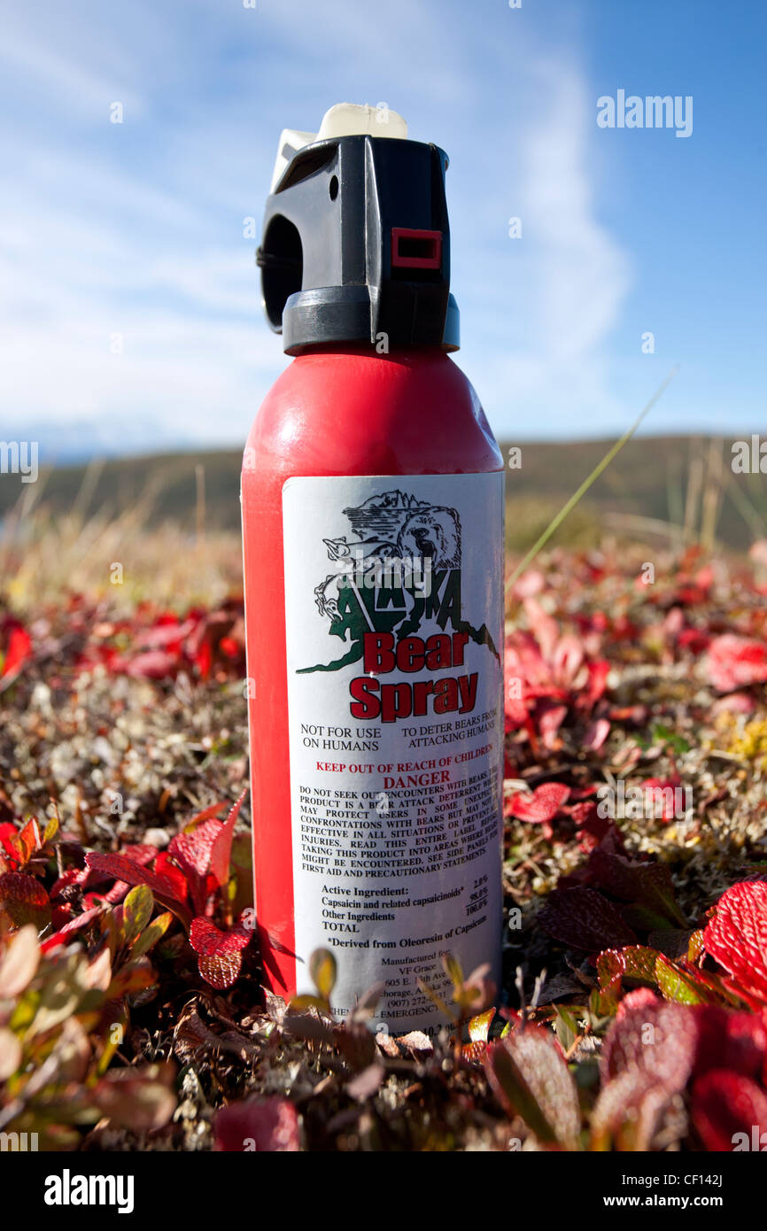 Bear spray. Alaska. USA Stock Photo
