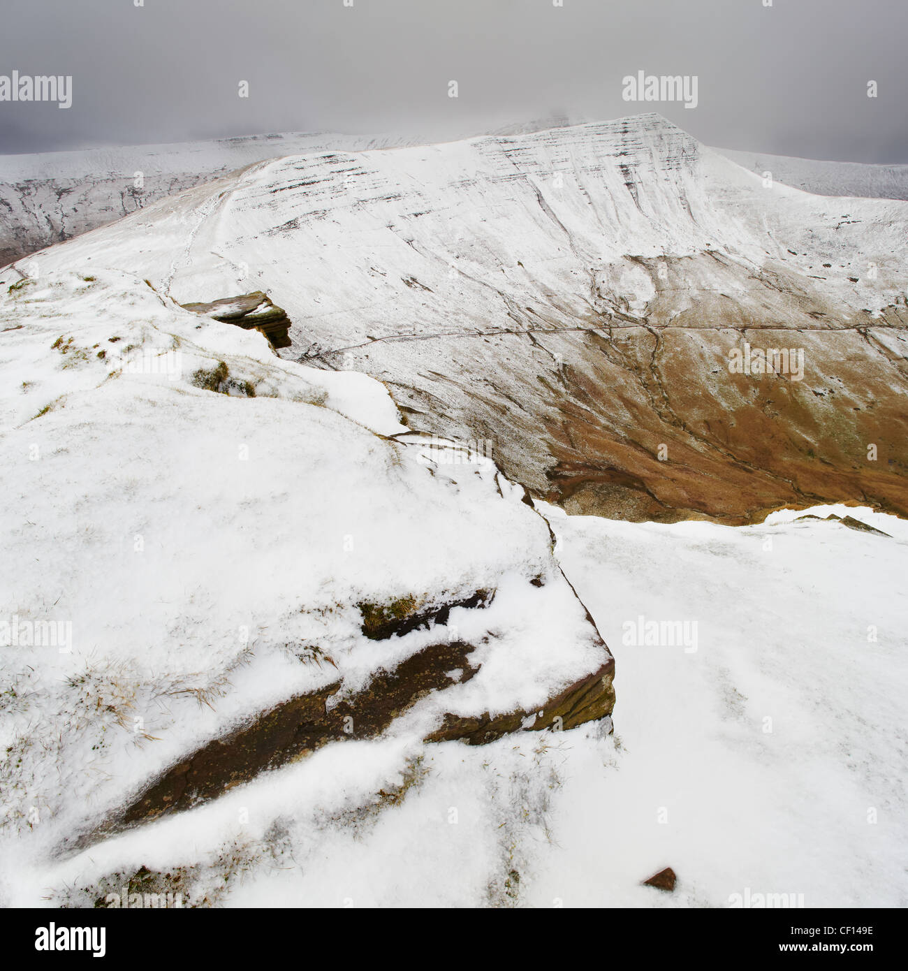 Fan y big diving board hires stock photography and images Alamy