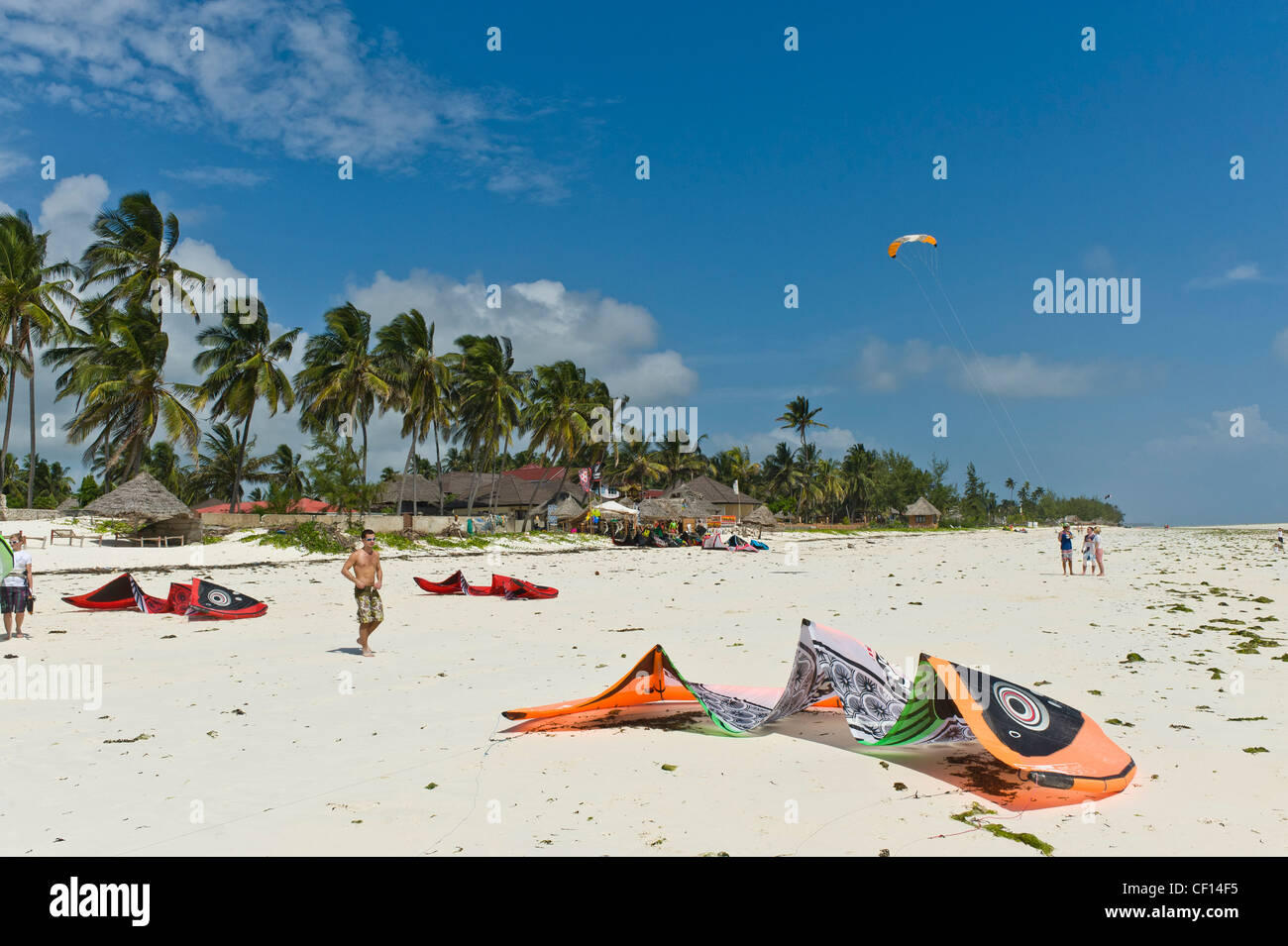 Kites and kite surfers on the beach in Paje, Zanzibar, Tanzania Stock Photo