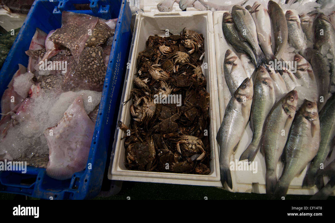 Fish at Billingsgate Market Stock Photo Alamy