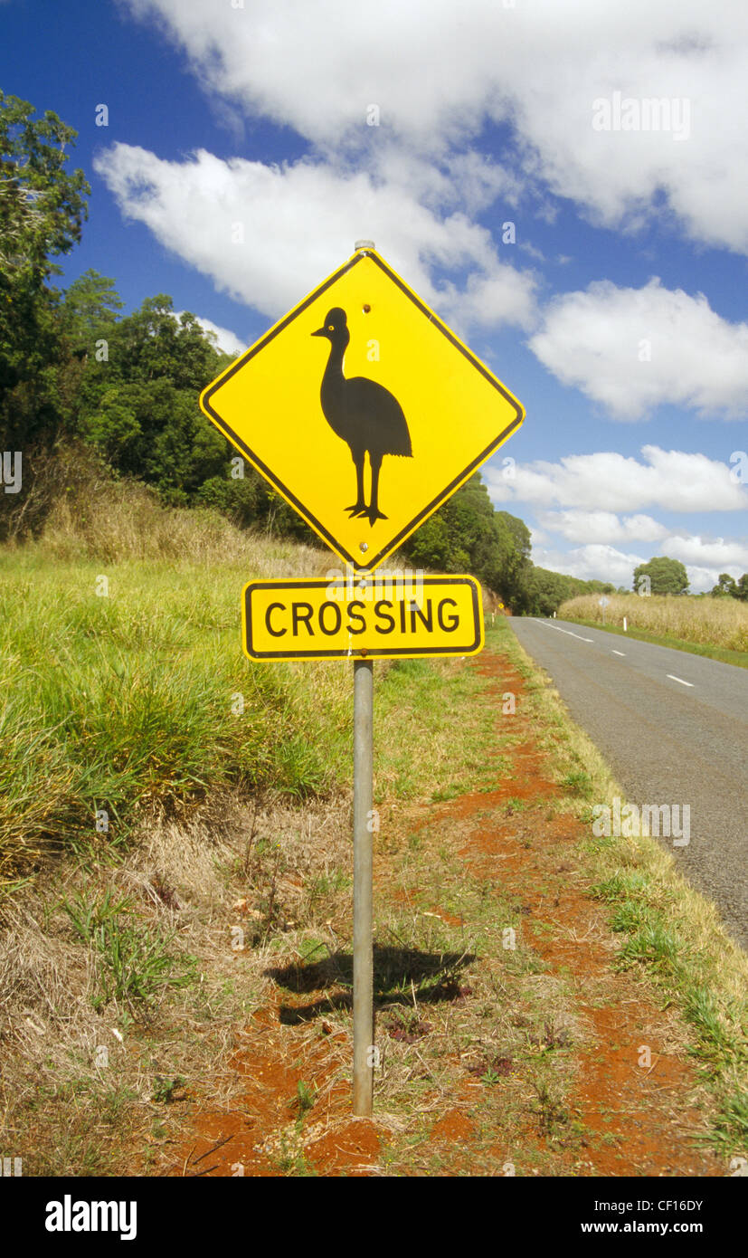 A traditional Australian road sign warning motorists of the danger posed by Cassowary's crossing the road. Stock Photo