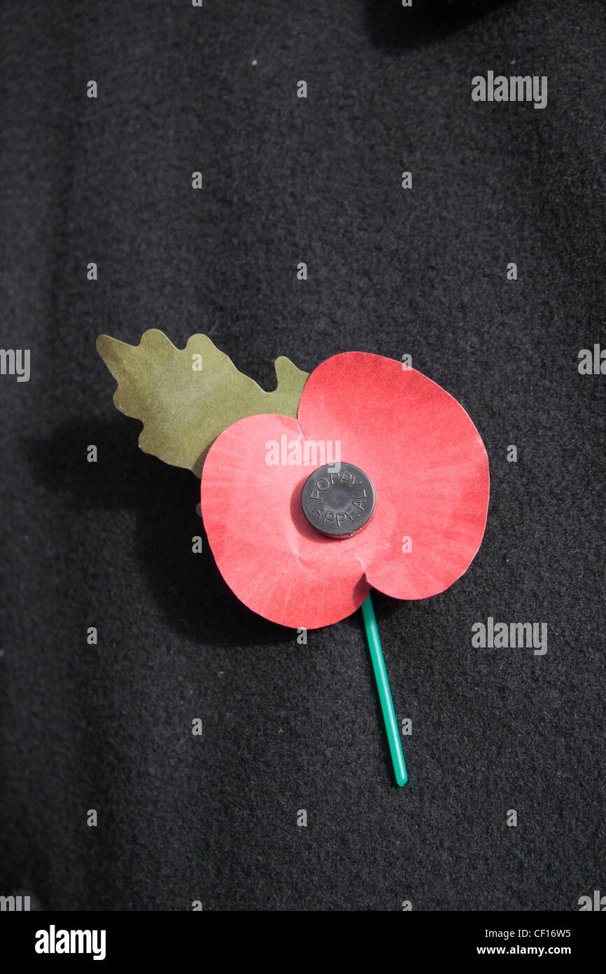An English artificial Royal British Legion Red Poppy on a dark jacket background.  This shows the green leaf pointing up. (11am) Stock Photo