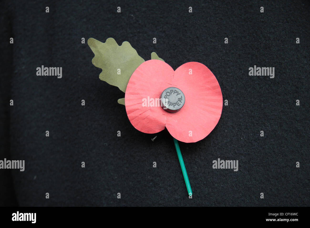 An English artificial Royal British Legion Red Poppy on a dark jacket background.  This shows the green leaf pointing up. (11am) Stock Photo