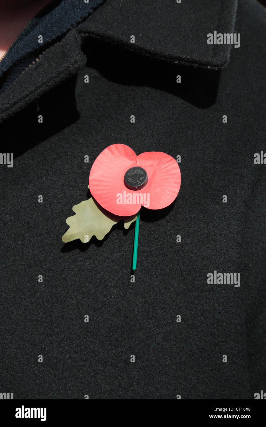 An English artificial Royal British Legion Red Poppy on a dark jacket background.  This shows the green leaf pointing down. (7am Stock Photo
