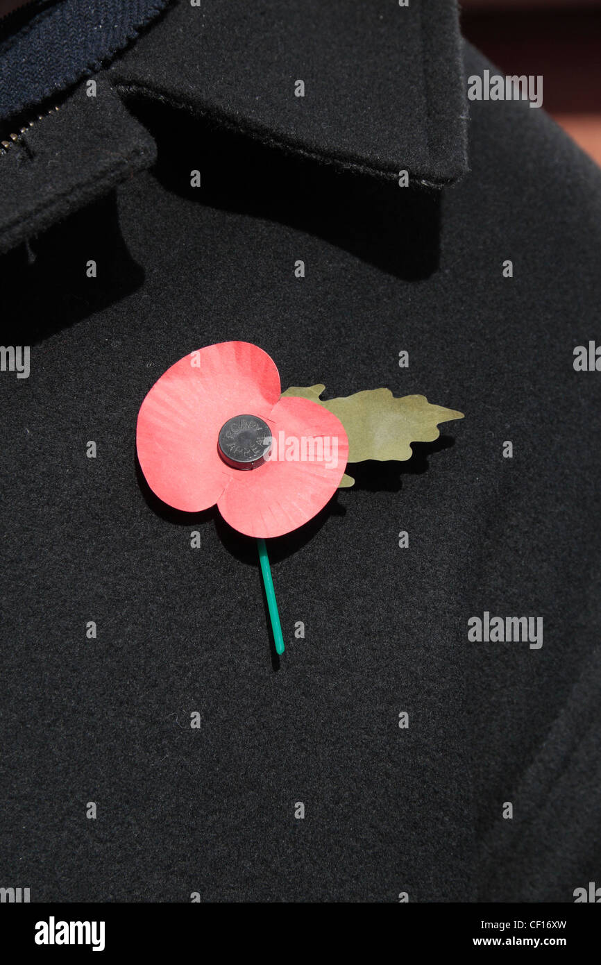 An English artificial Royal British Legion Red Poppy on a dark jacket background.  This shows the green leaf pointing sideways. Stock Photo