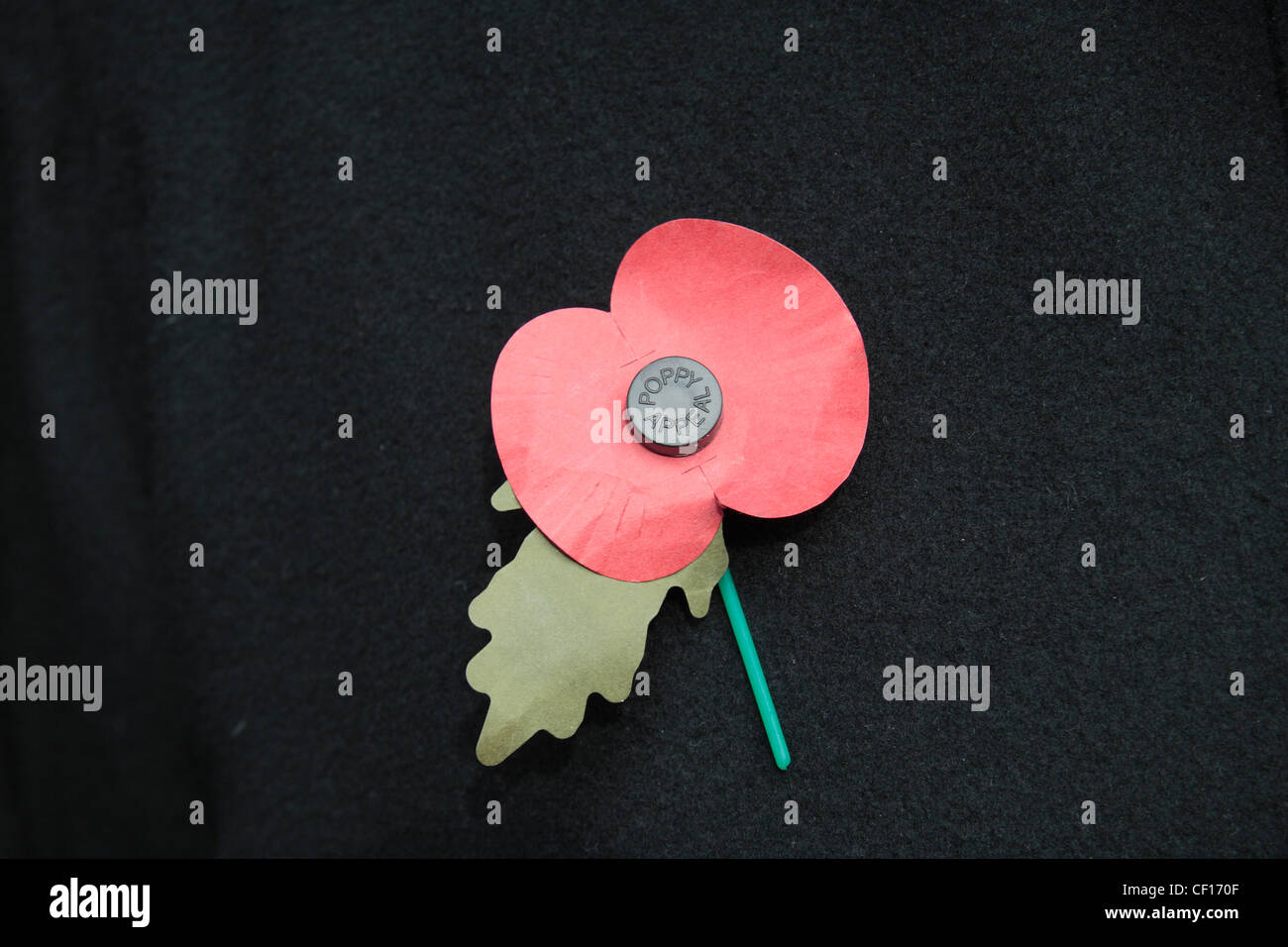 An English artificial Royal British Legion Red Poppy on a dark jacket background.  This shows the green leaf pointing down.(6am) Stock Photo
