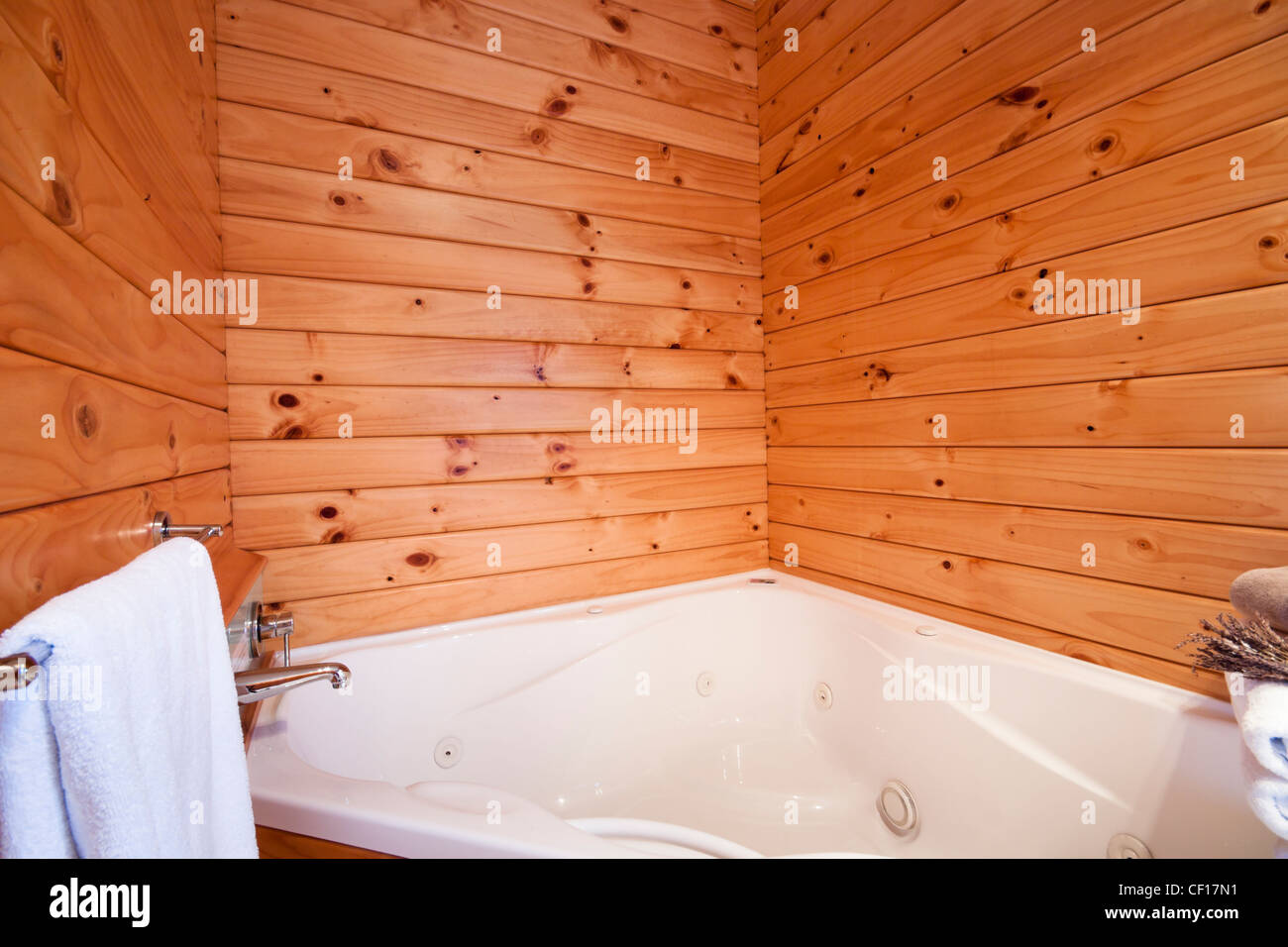 Bath interior in mountain lodge. Fox Glacier Lodge, Fox Glacier, West Coast, South Island, New Zealand. Stock Photo