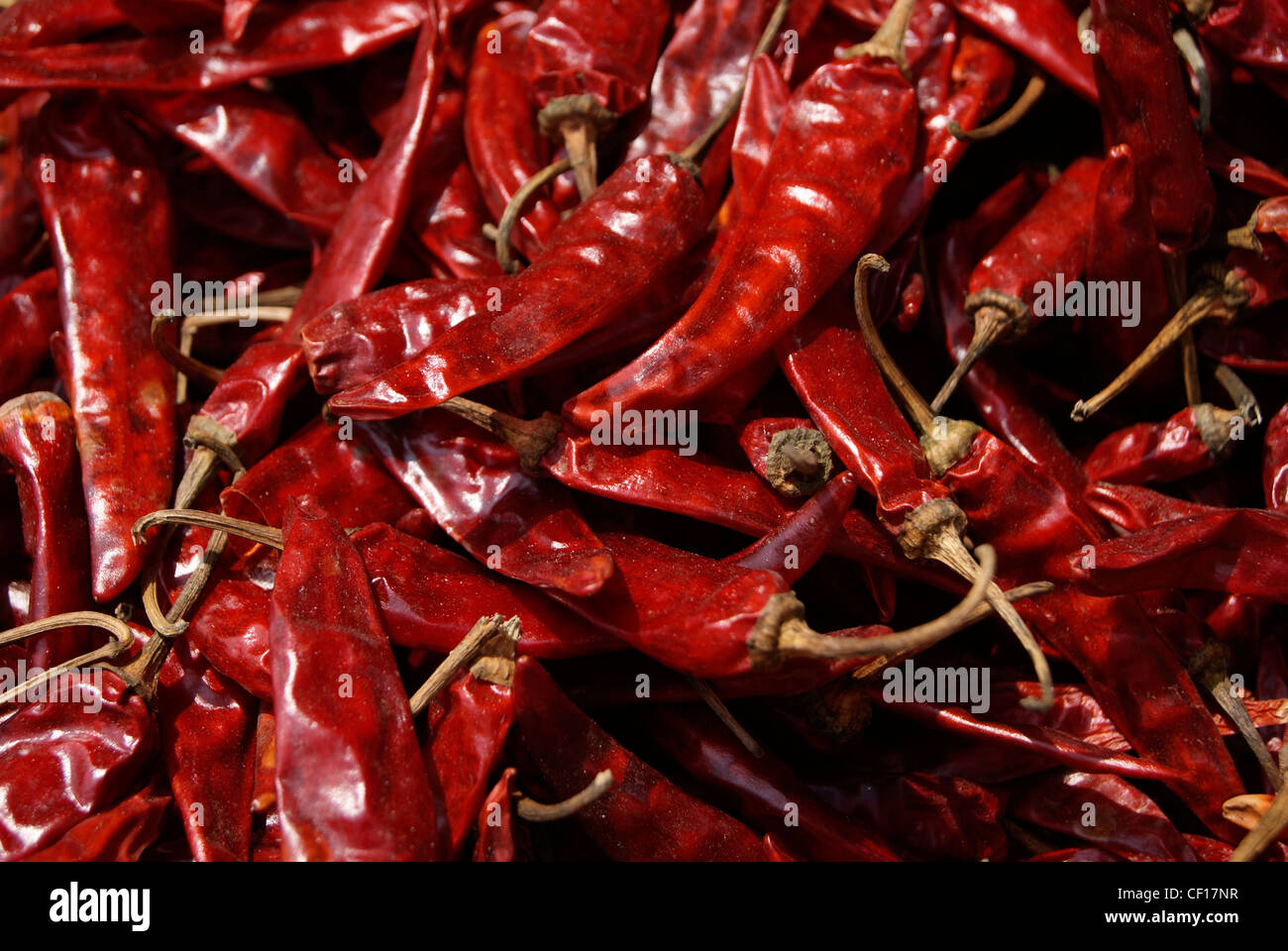 Red chillies sales in Indian Market Stock Photo