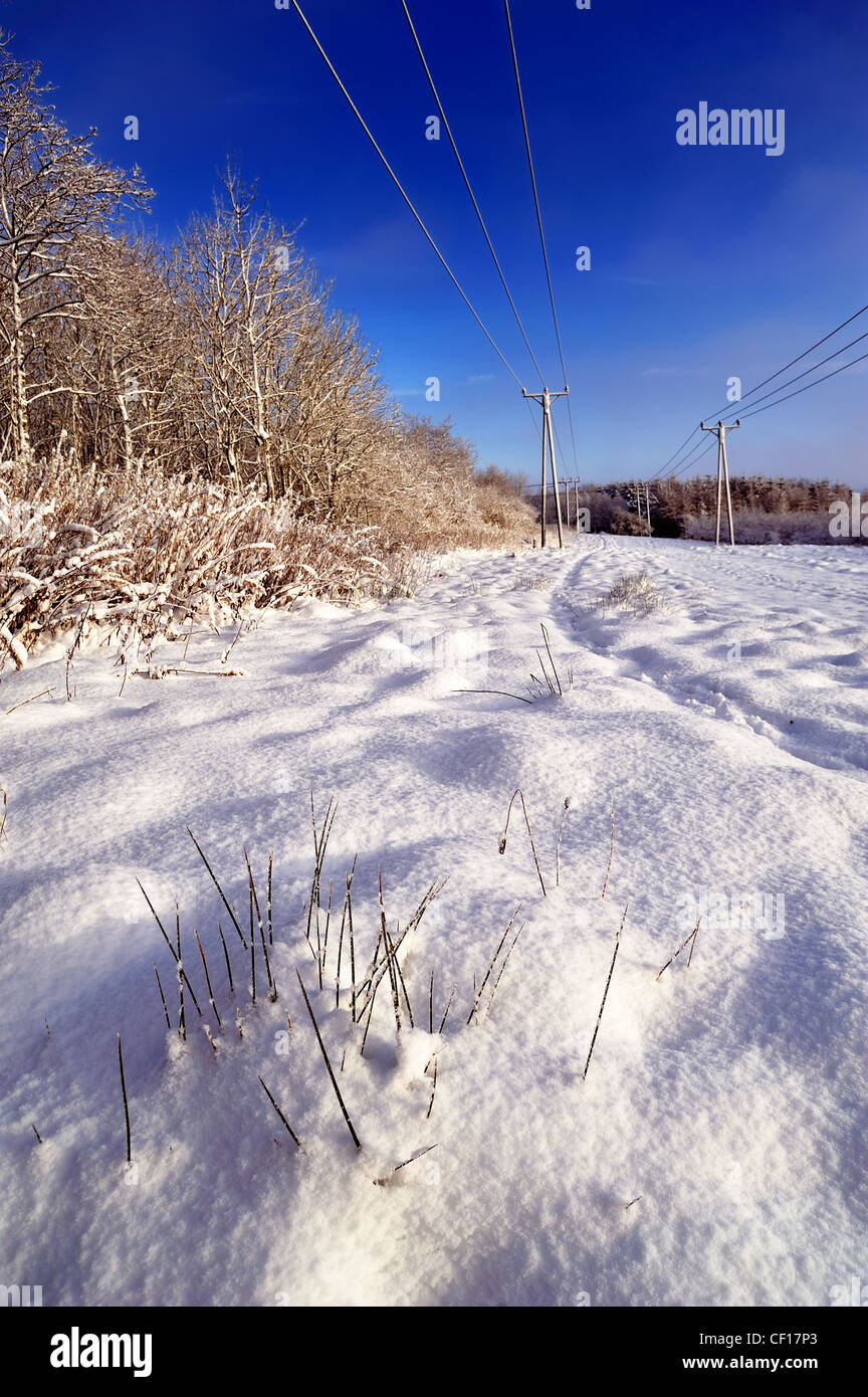 Snow covered field in the winter with a clear blue sky in Shotts ...
