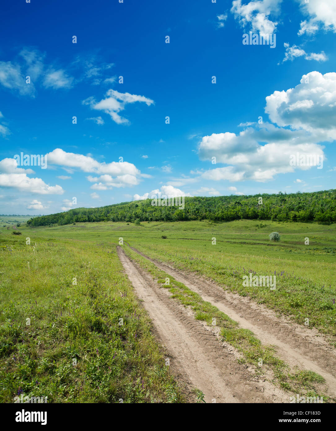 rural road under cloudy sky with tree Stock Photo - Alamy