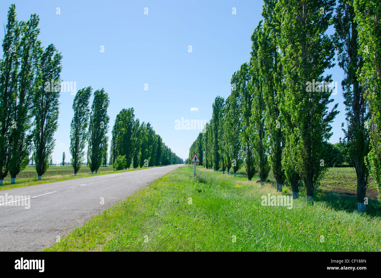 rural road with trees near it board Stock Photo