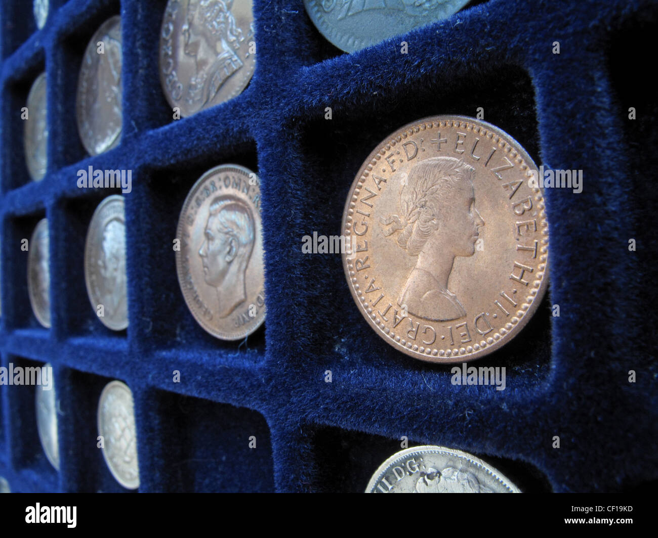 A section  of a British  coin collection in a tray, with a  Queen Elizabeth young head farthing in the foreground. Stock Photo