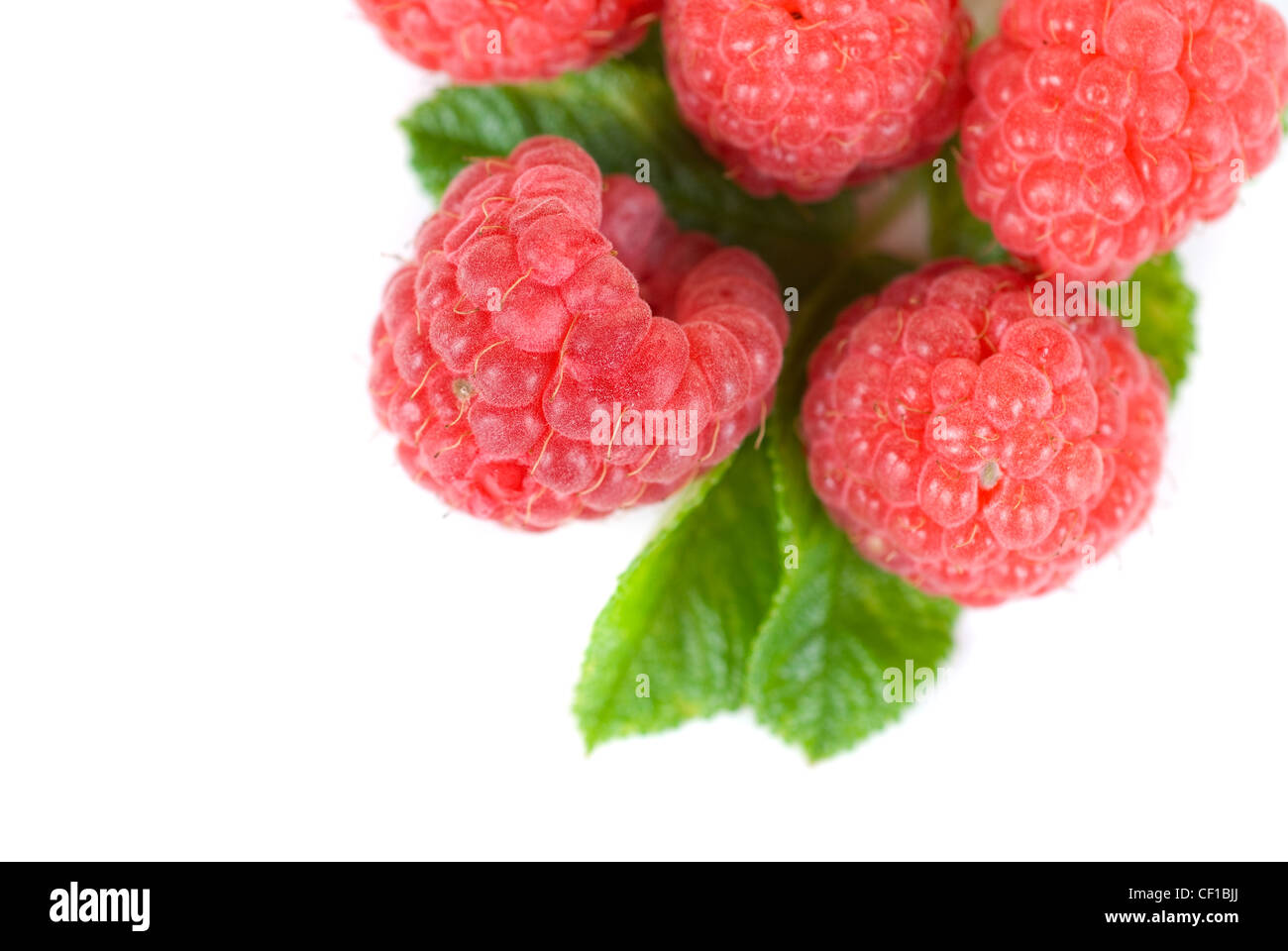 fresh raspberry closeup on a white background Stock Photo - Alamy