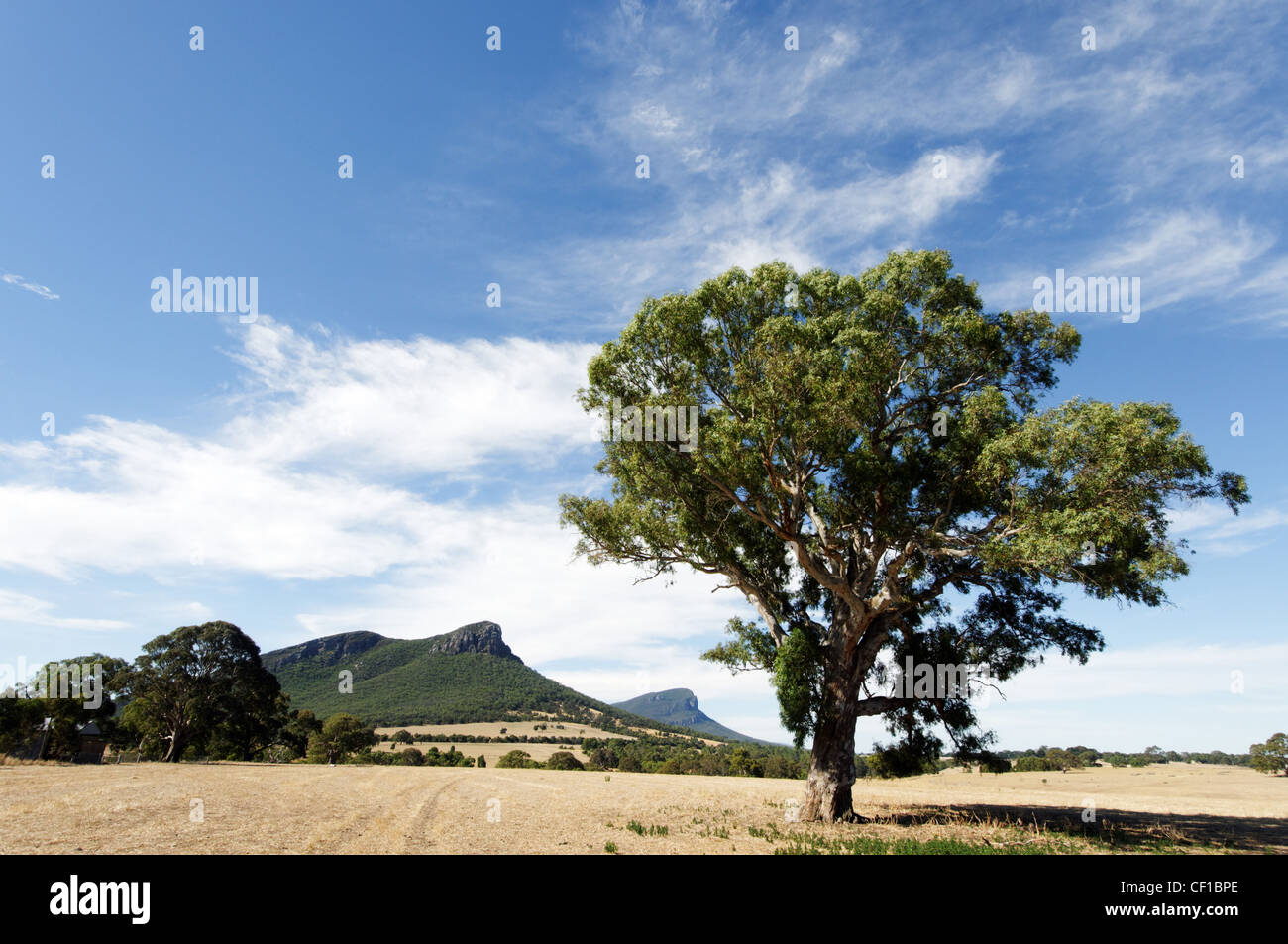 Mount Abrupt and Mount Sturgeon in Australia's Grampian Mountains Stock