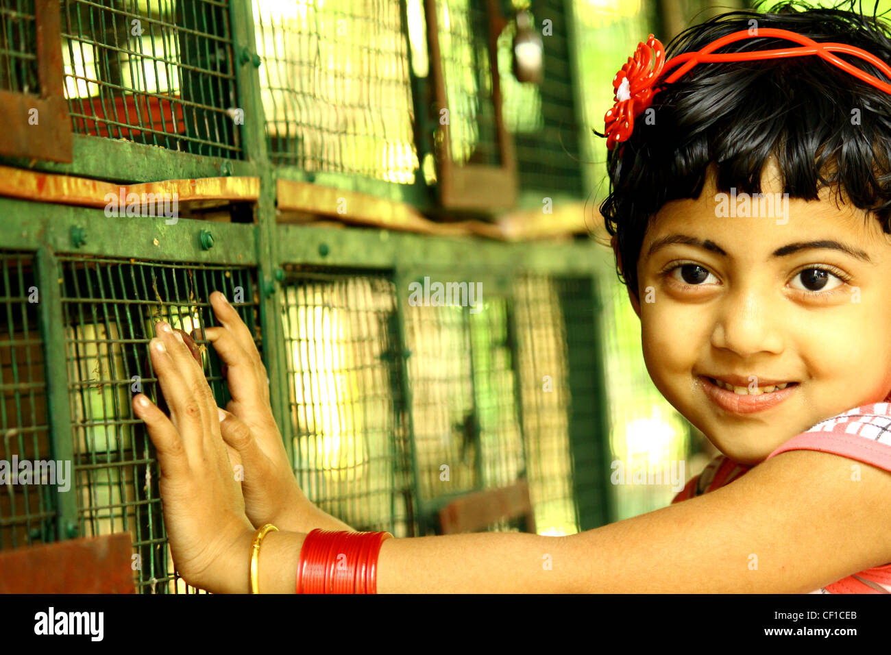 Indian toddler girl Stock Photo