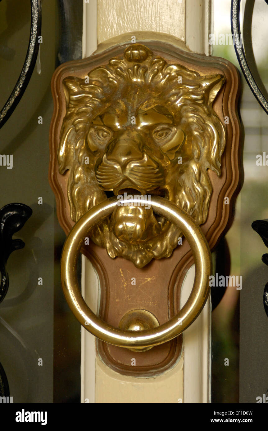 Front door with brass lion head shaped knocker Stock Photo Alamy