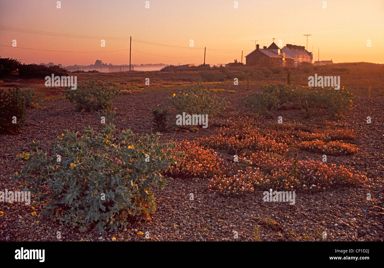 Sunrise over the beach. Stock Photo
