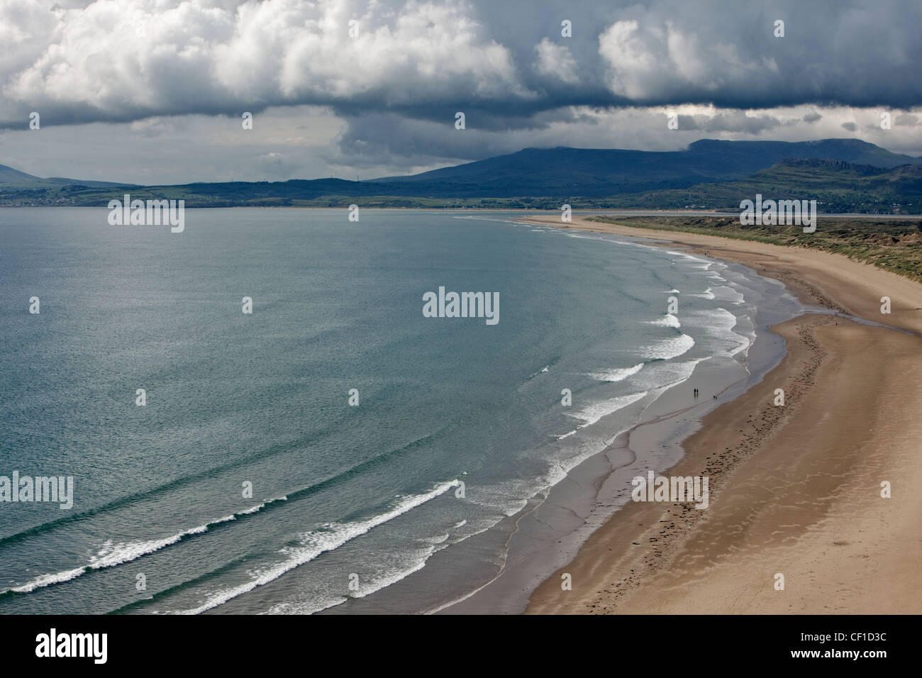 Harlech beach and surrounding dune area. The natural dune system has been designated a NNR (National Nature Reserve), SSSI (site Stock Photo
