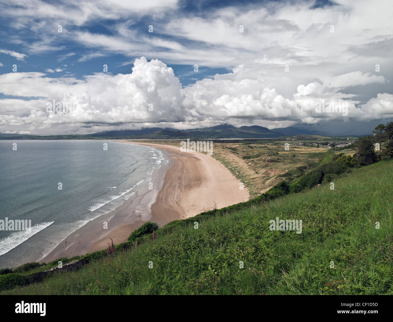 View from the hillside of Harlech Beach and surrounding dune area. The natural dune system has been designated a NNR (National N Stock Photo