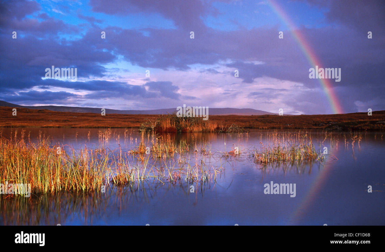 Reeds sparkling water hi-res stock photography and images - Alamy
