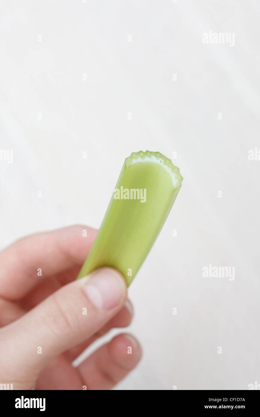 Hand holding a celery stick Stock Photo
