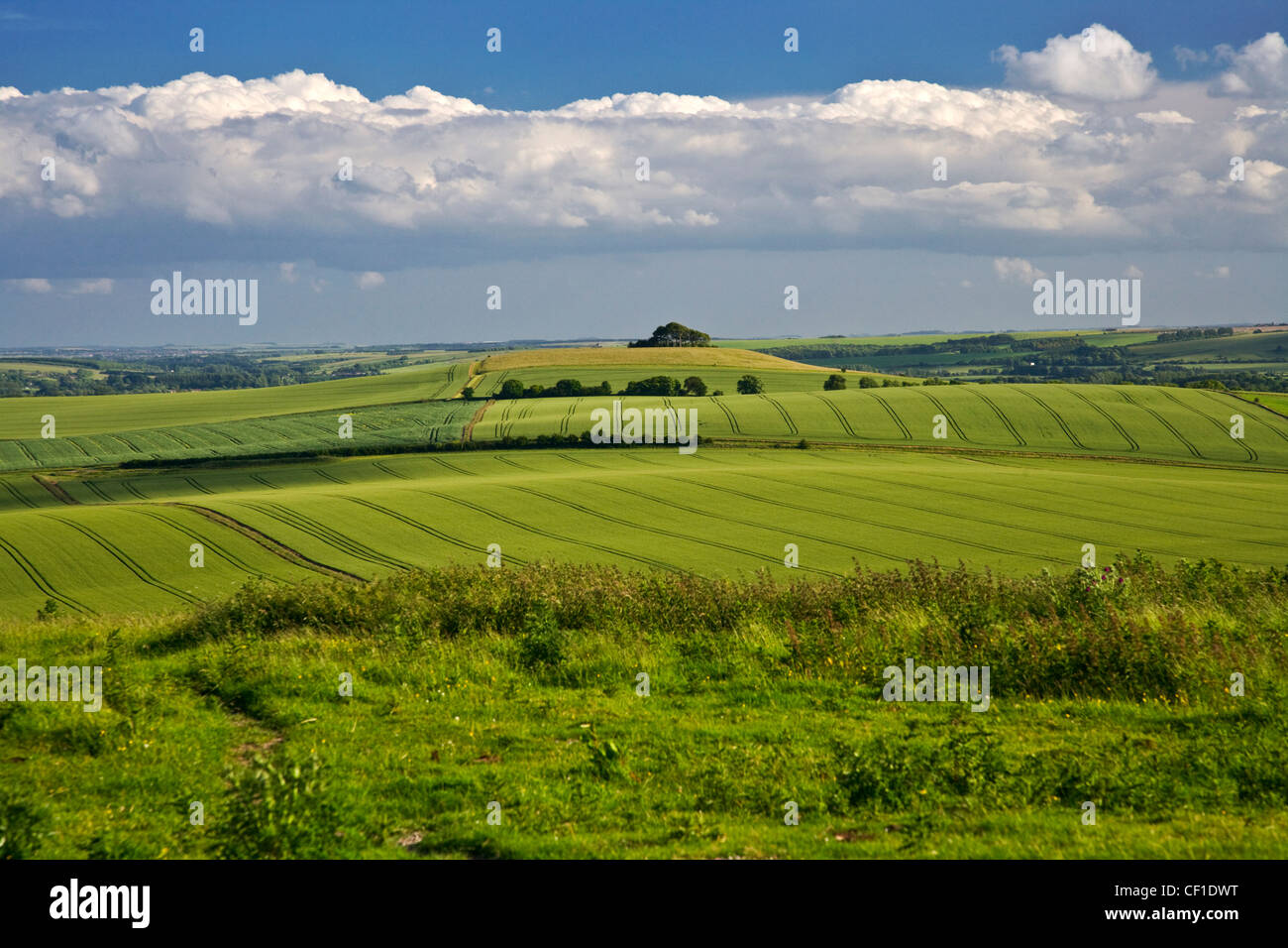 View across the North Wessex Downs towards Woodborough Hill in the