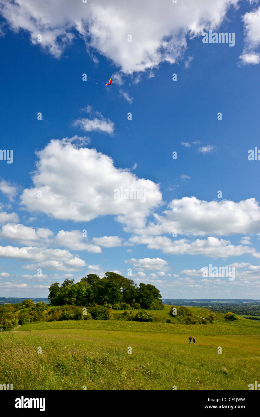 Kite flying at Whittenham Clumps in the Thames Valley. Stock Photo