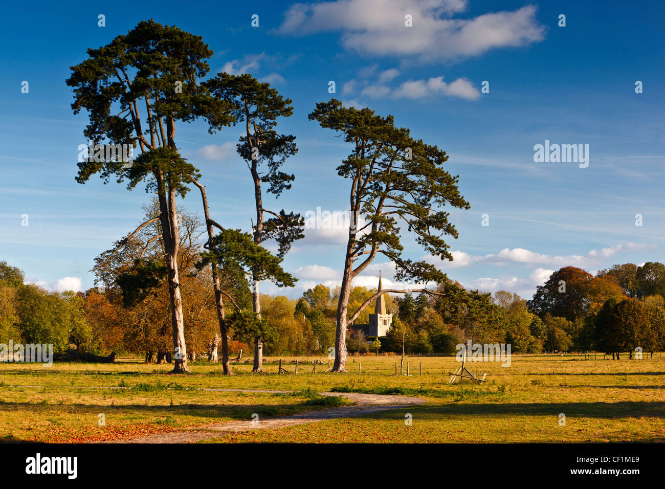 Distant view of the spire of All Saints church in Down Ampney. Stock Photo