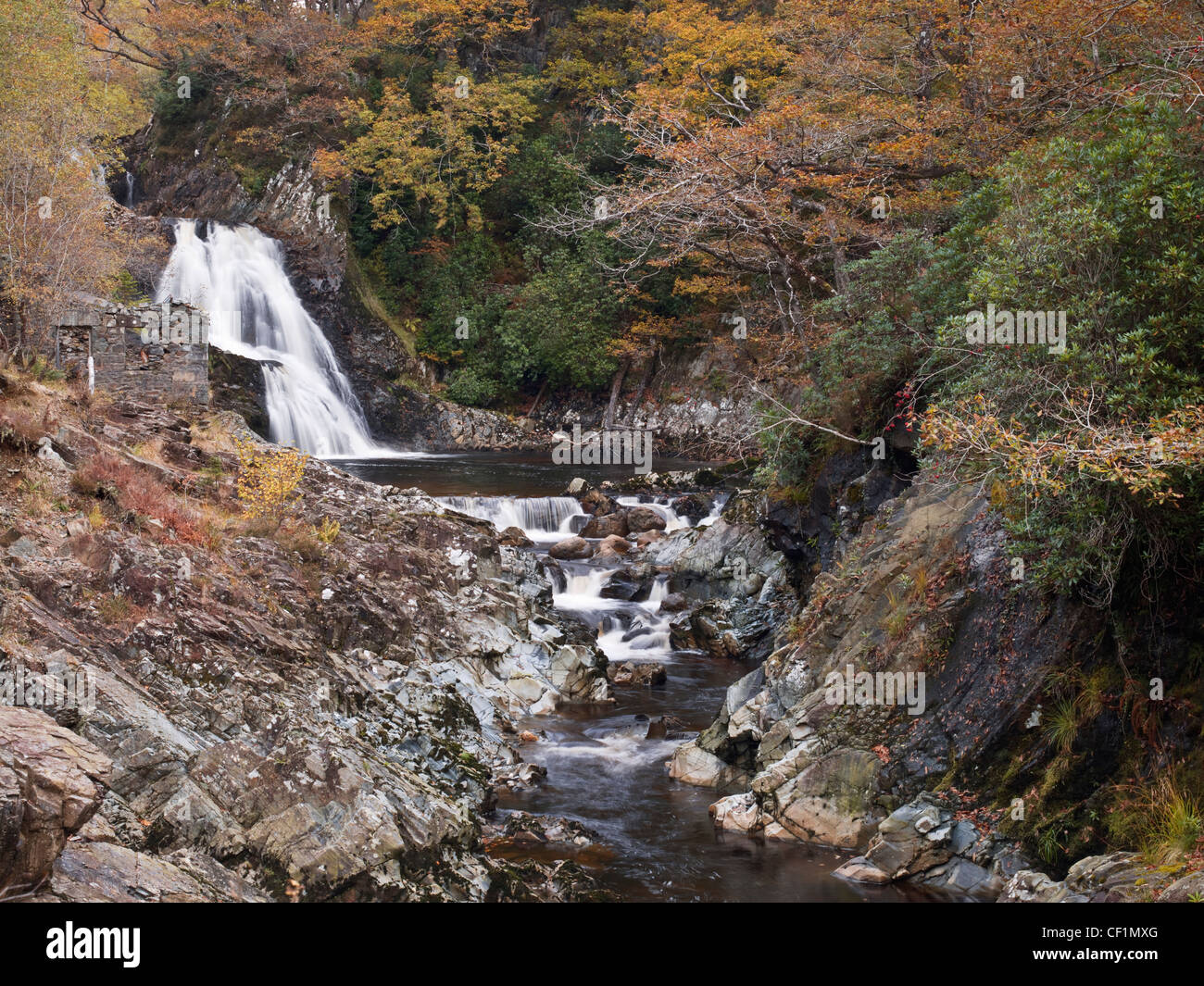 Rhaeadr Mawddach Waterfall in the Coed y Brenin forest park is next to an old gold mine. Stock Photo