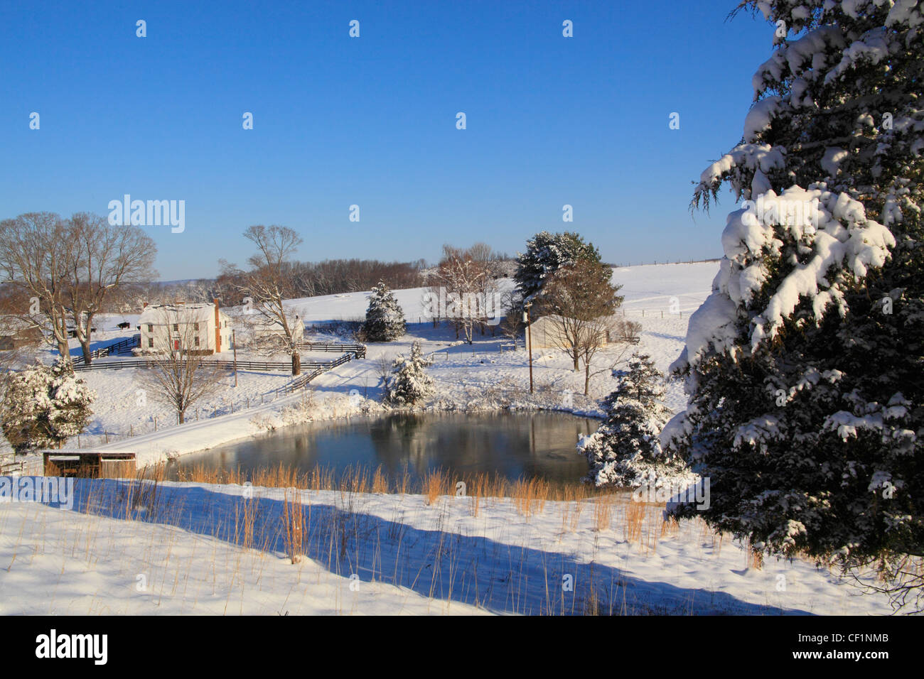 Farm, Raphine, Virginia, USA Stock Photo Alamy