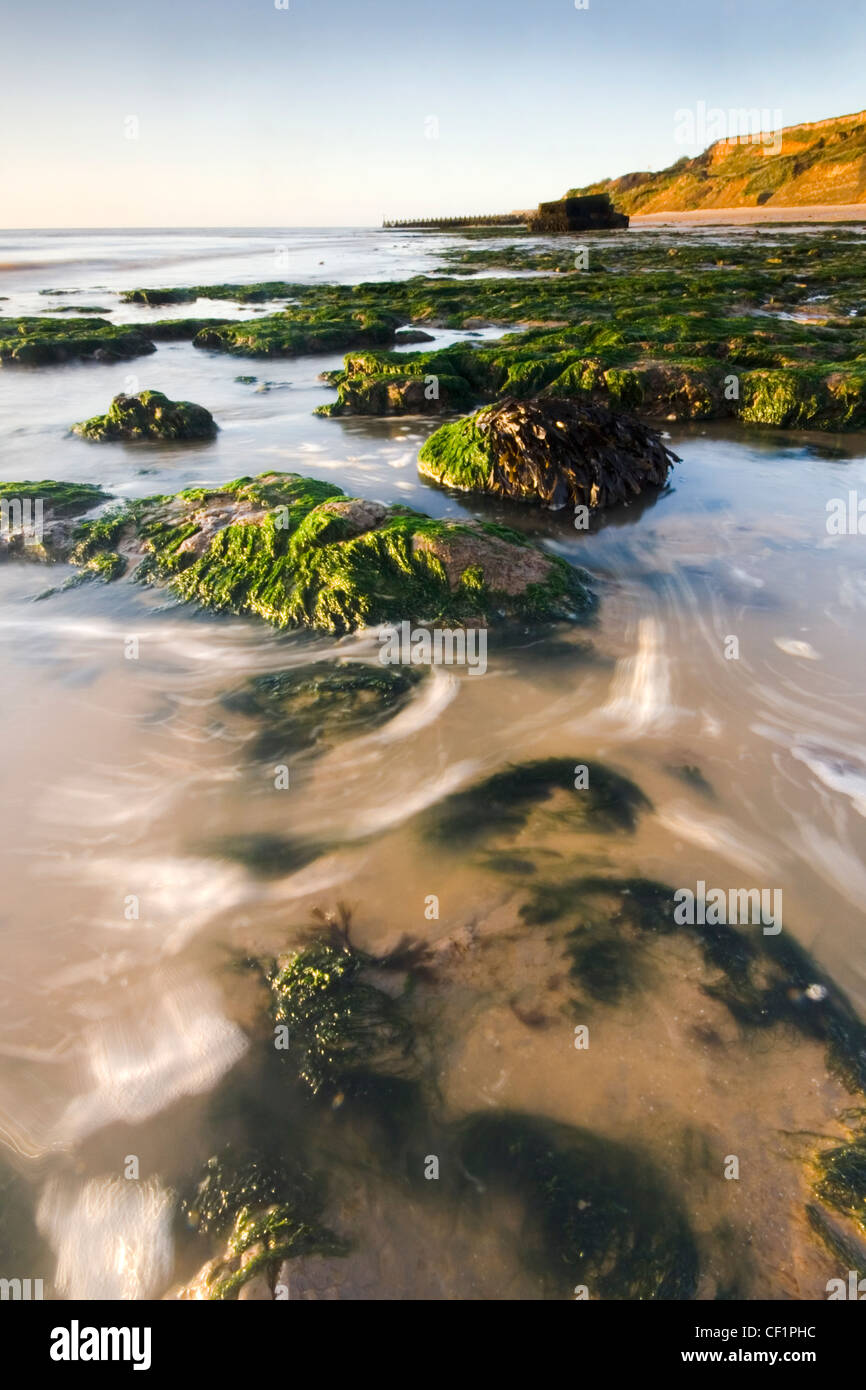 A view toward the Naze. Every year, the sea reclaims another two metres of the headland through erosion by the tides. Stock Photo