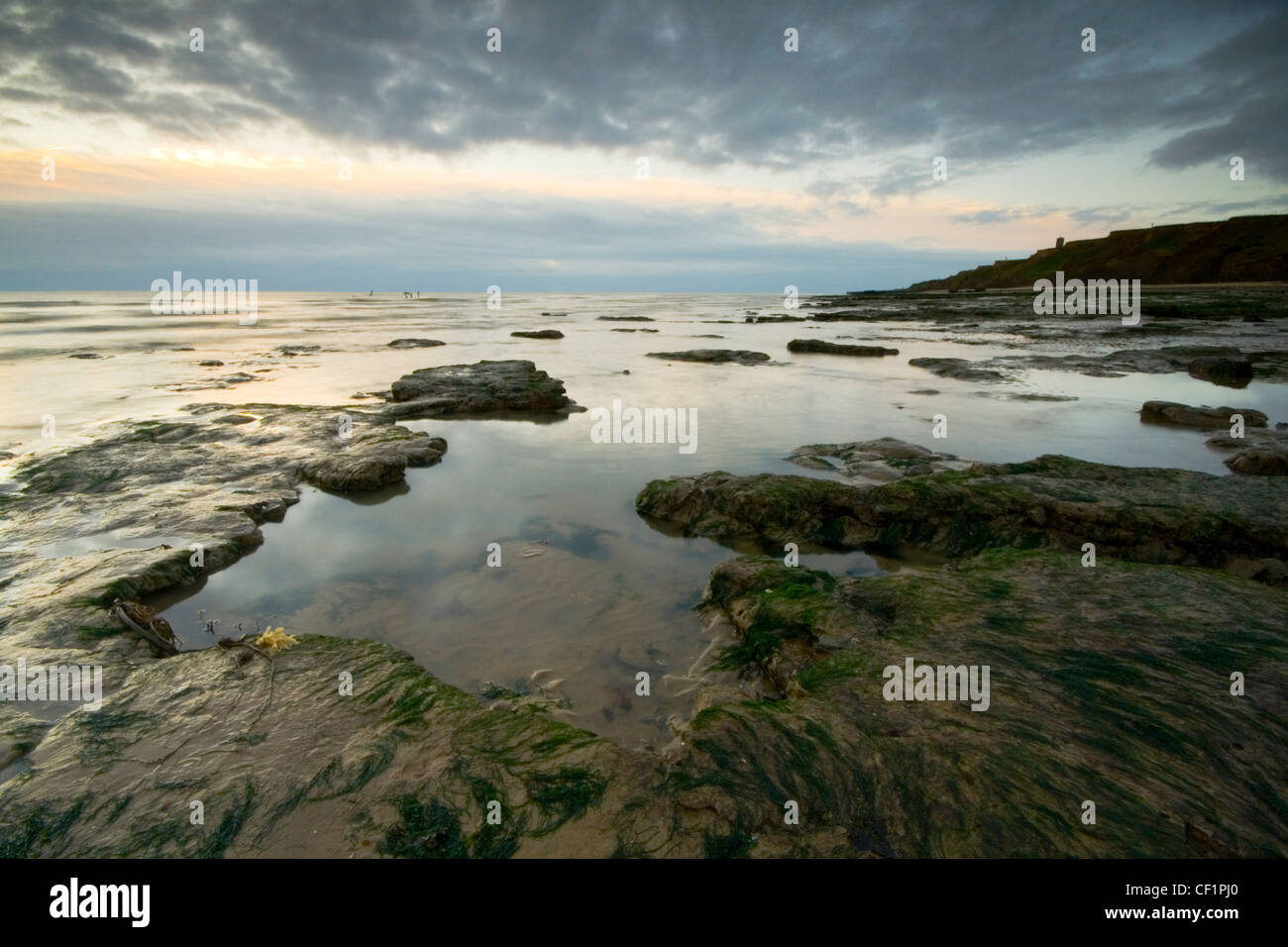 A view toward the Naze. Every year, the sea reclaims another two metres of the headland through erosion by the tides. Stock Photo