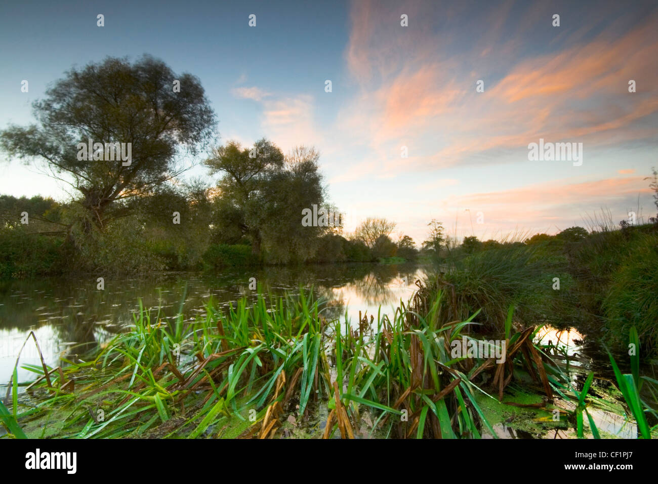 Sunrise on the River Stour. The river and the surrounding landscape was made famous by the many paintings of the area by John Co Stock Photo
