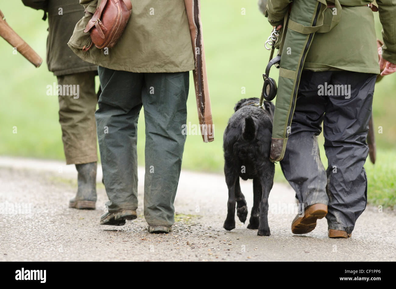 Huntsmen and gun dog walk to the next position. Stock Photo
