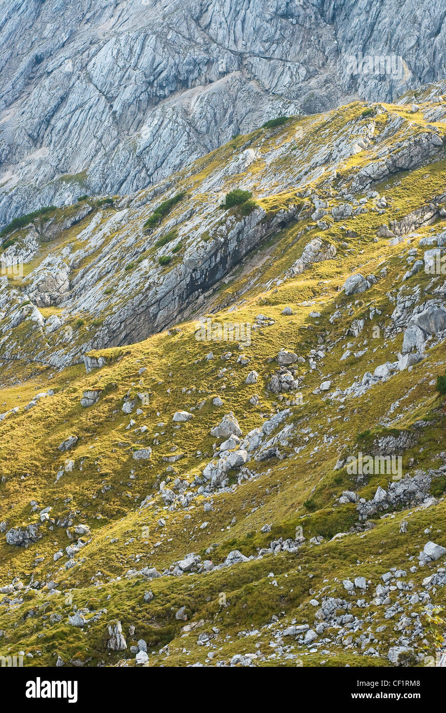 Alpine Mountain Landscape In Bavaria with Rocks and Grass Stock Photo