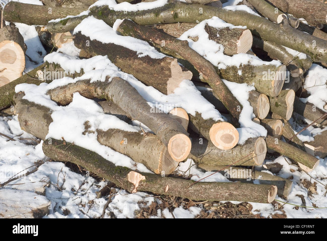 Cut Lumber for Ecologically Sustainable Winter Heating Stock Photo