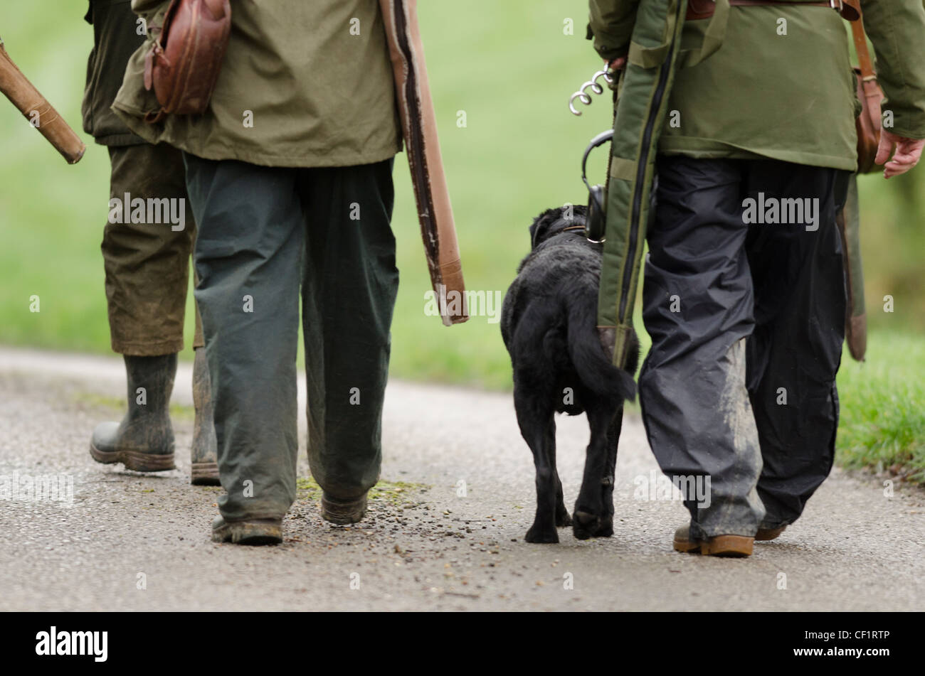 Huntsmen and gun dog walk to the next position. Stock Photo