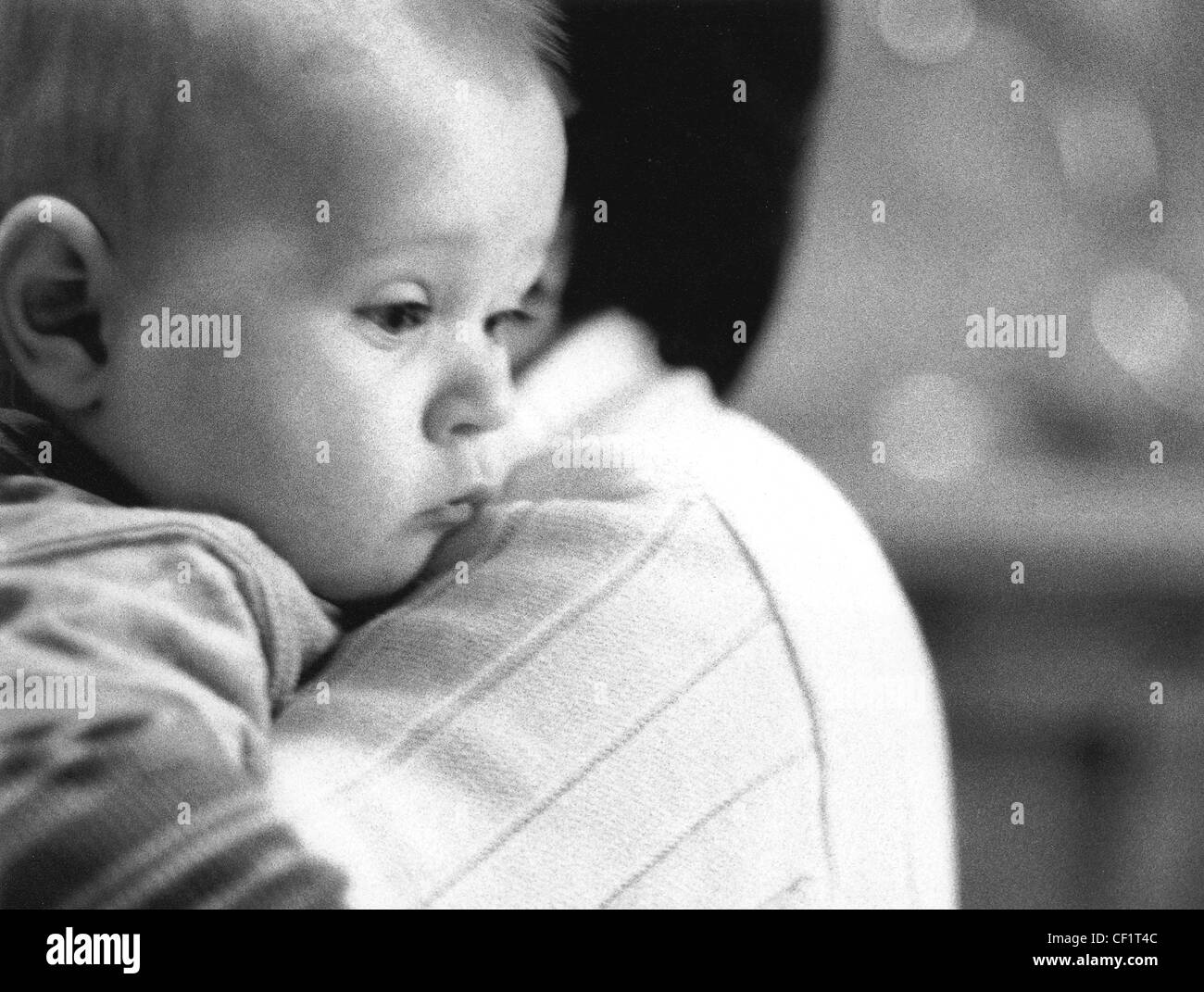 'FACES OF ALFI' Profile of baby being carried by parent over shoulder