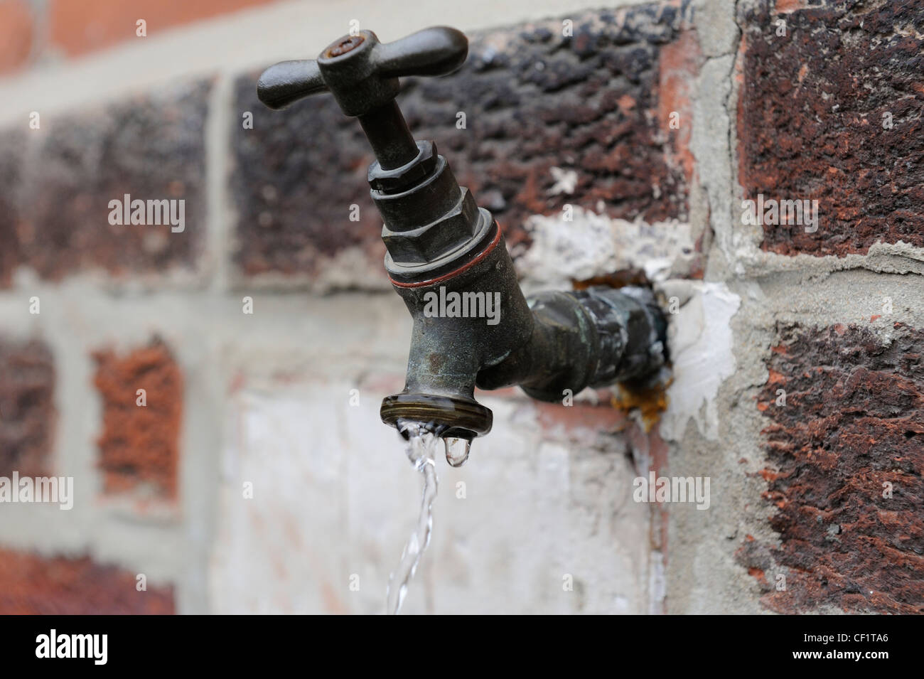 outside garden water tap england uk Stock Photo Alamy