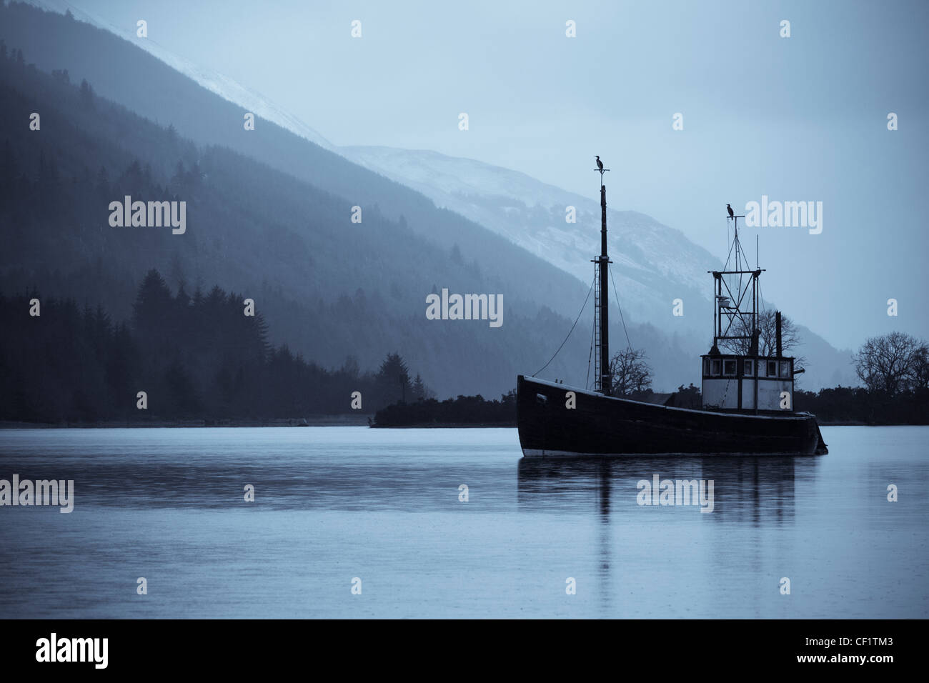 An old trawler rests on Loch Lochy and two cormorants take advantage of the excellent look out points to search for food. Stock Photo