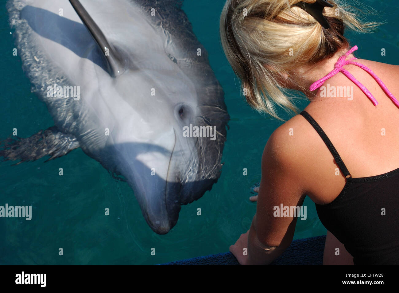 young girl looking at dolphin on its side antalya turkey Stock Photo