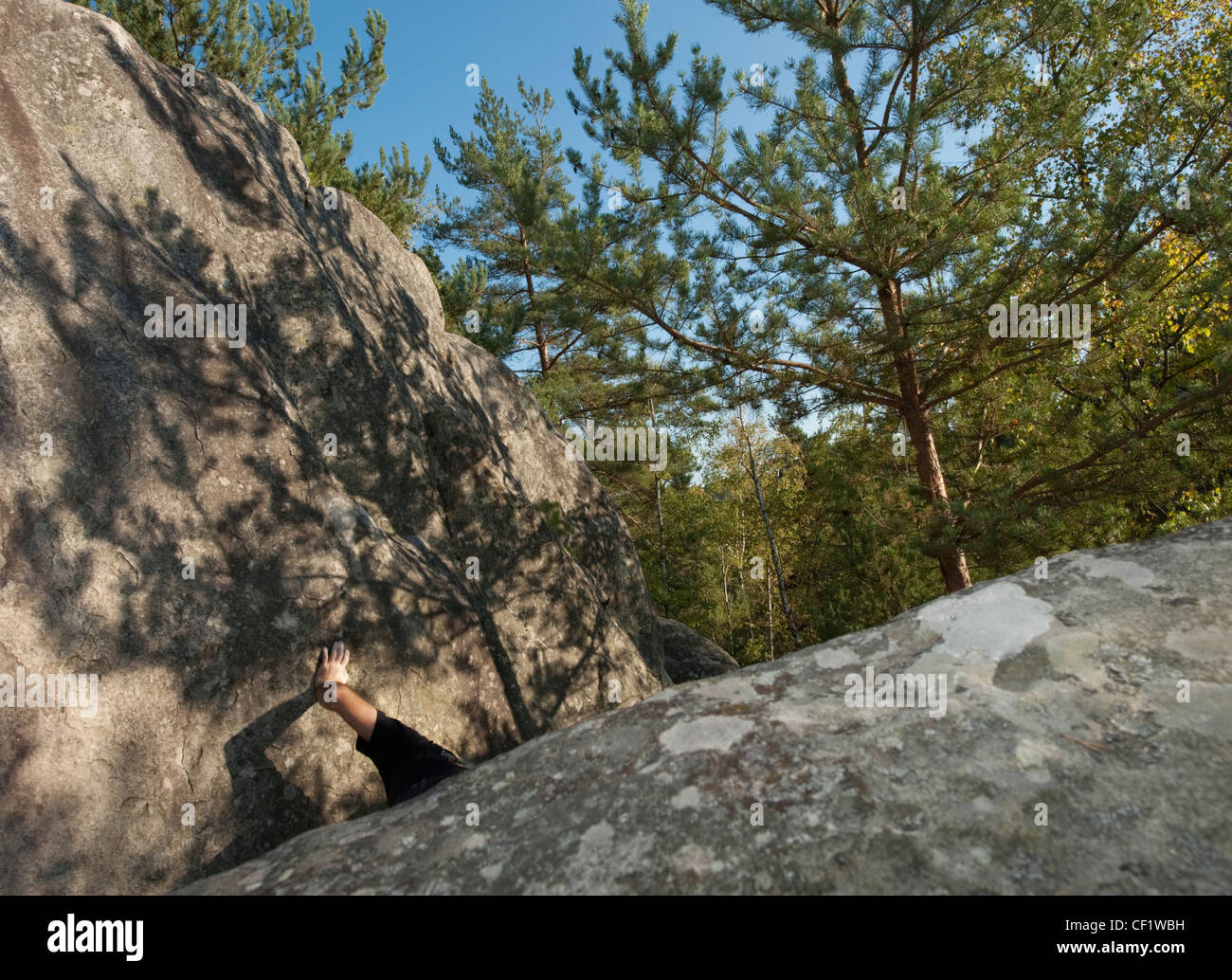 A climbers chalked arm is visible between boulders with shadows of the trees in pattern in sunlight in a forest in Fontainebleau Stock Photo